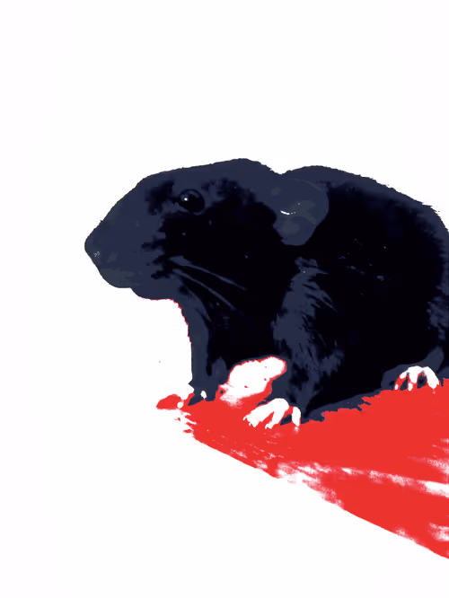 Item #38164616475618540884503297836374549590182867886745281612021201141559126392833 Media