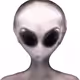 78659460725135531583023670119258347490912039647015248883718852235097635028993