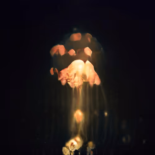 Item #93923887731966639760197662534300547726212510779526051617655967278830261895169 Media