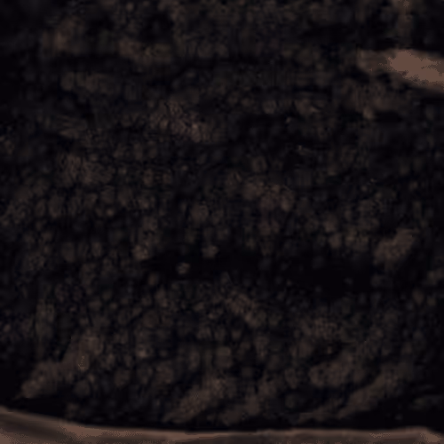 Item #58241160855422744817468407088196322100109565521561100950236908274875994472449 Media