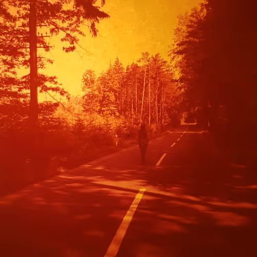 Item #99229842247812193492092246635526113316383887000586294441888985042635699781633 Media