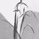 蘭草, Orchid 난초 ㅡ (of) XNLKX 0