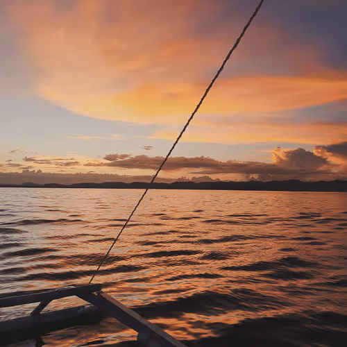 Item #35972943781229338626841462082149493369949798196488521232546897879299916824577 Media