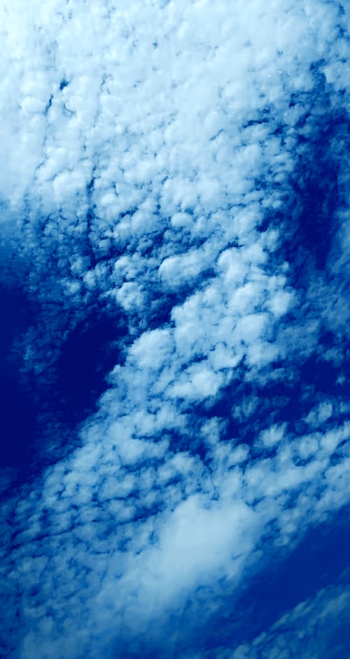 Item #93718354689787490133297931596639786577784767368413959280271169929263957671937 Media