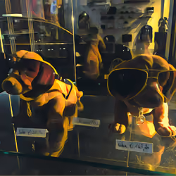 SHOWCASE PUPPIES