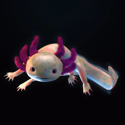 Item #39982110375740153587505644478940195082872270202471884348459982315125521514497 Media