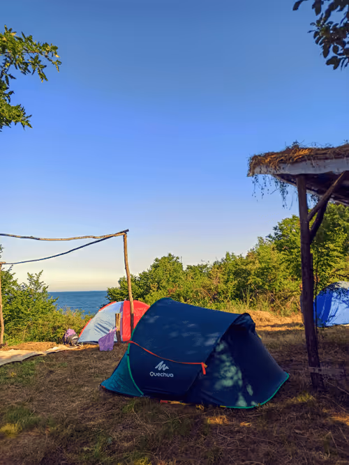 Item #55807924163620882743305652927464896138649887097193374139054959748987240841218 Media