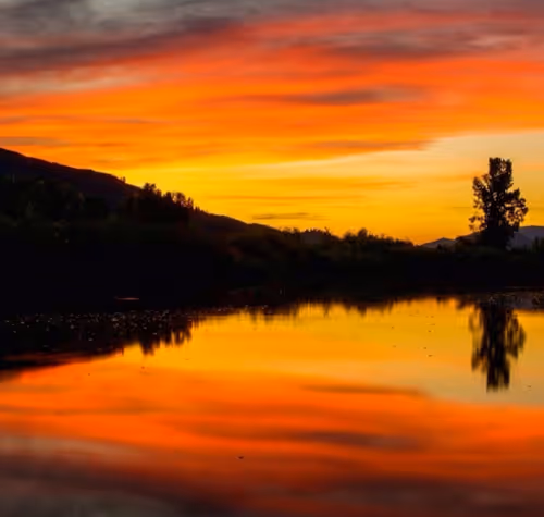 44709480693160417701152031466761867258351074556435739886014108957545175449601