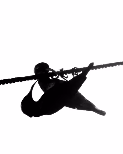 Item #81021125927319738248782265414095126992260024801395774722402146453043057524737 Media