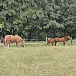 Horse Family II Abstract Edition #3 of 3