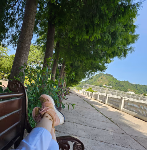 Item #35919042871244573338341443481004100687759546916264477406015230778303238373377 Media