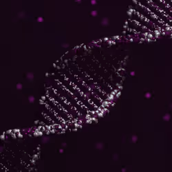 113395677080381858456097698969021148731173449515476865940740430448758735503361