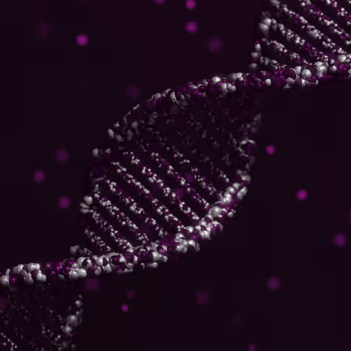 113395677080381858456097698969021148731173449515476865940740430448758735503361