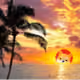 111073469561148093617540975599064364839688935666633219269421155956171980406785