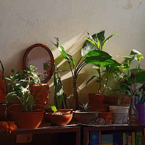 Item #67992331650723614361703023374283579868266072419832795467838943543950068154369 Media