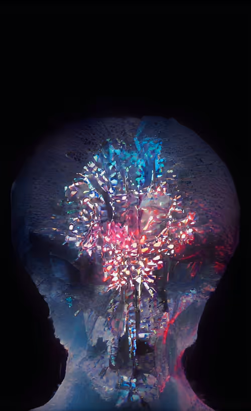 Item #45334260737191986285360123932213895980337017896394818583701391387438121746433 Media