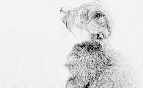 Item #23143313246472061328071561115701105421589606567298838424350448142340499439617 Media