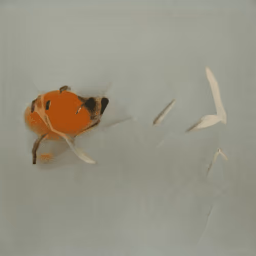 Item #23005699801348726946453604369168113764611283338315469620542080328792694325249 Media