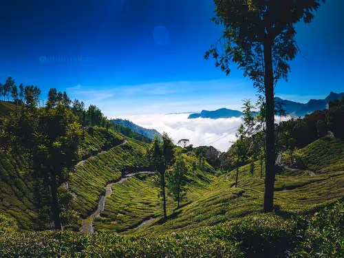 Item #96373460507912281939903112807065392587728079623754575039603803288249271582721 Media