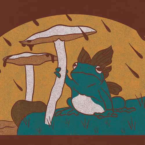 Frog Friend