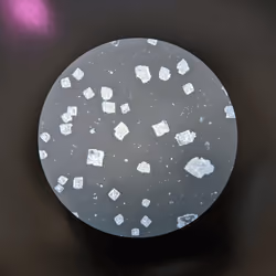 Sodium Chloride #150