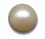 Item #87900435565691488331449612080120750690036238991971126921981558545716422377482 Media