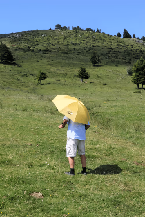 Item #61601413983432262200822046408210296549184035160504594584973518318279361298433 Media