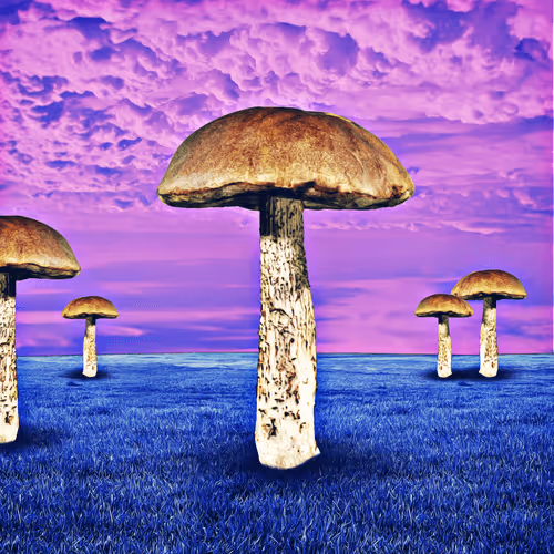 Item #58679091303797370968343837597033071806506215360360826291041734662326738485249 Media