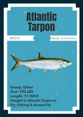 Item #43502264269384842523243150070095810631836830099831581701628992025228711297025 Media