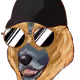 89315628207343423934049465010883411469929744059841740208925290758698805755905