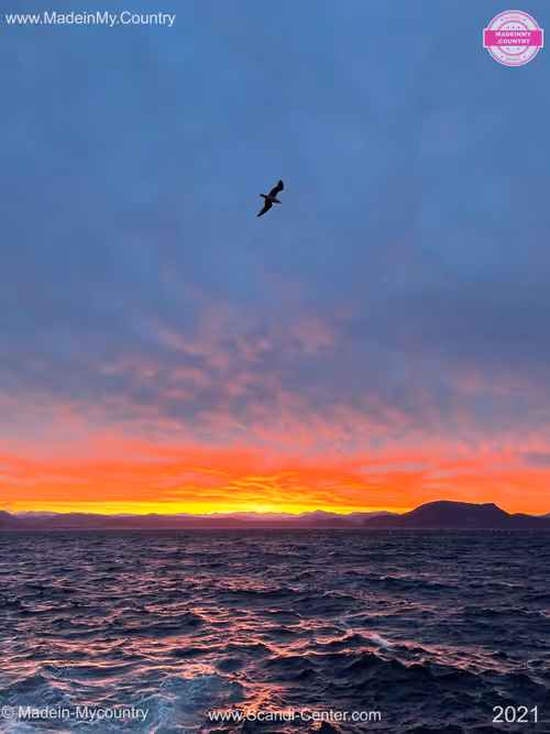 Item #21218919643484846679386017214105436286474954155539936946797714424951593762866 Media