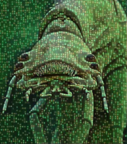 Item #55925376742051813904896437182867828164130329341764261009033723756654972895233 Media