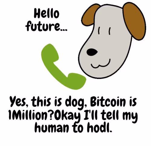 Item #104538956044351924709579236242865879623720882541836348464816676586460991717476 Media