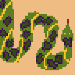 Anaconda #4