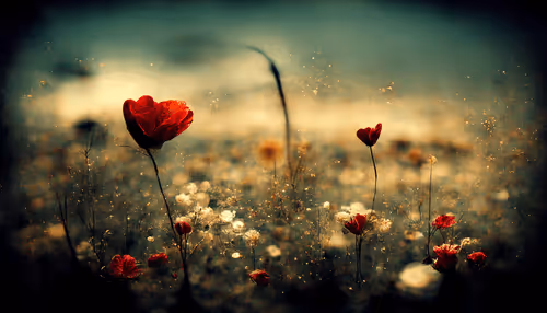 Item #39295705824730267596147944970714894039864715117808684556238668534505384443905 Media