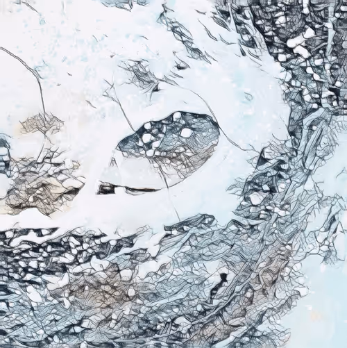 Item #95185591505817291928797326111407726709514520760408781103359166145070752595969 Media