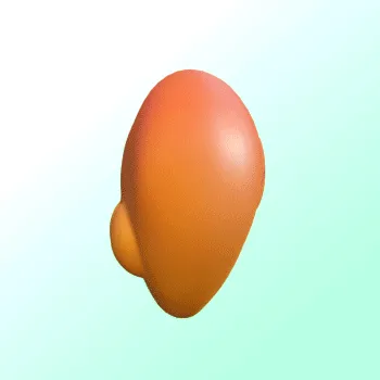Item #27946425407538860572428038486287256880651718985492761185265776790173674110981 Media