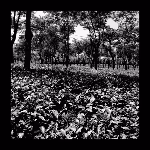 Item #78926493058180902224951420418338520494143290950102848006872373401241320947713 Media