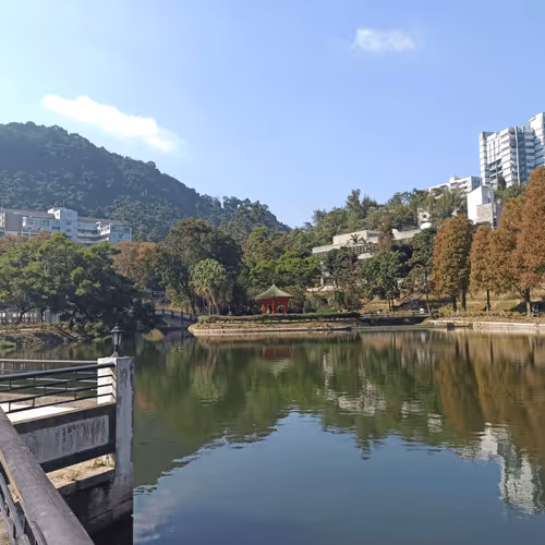 Item #55498827453282751112994663474612527609893380765469579837476847579233402224650 Media