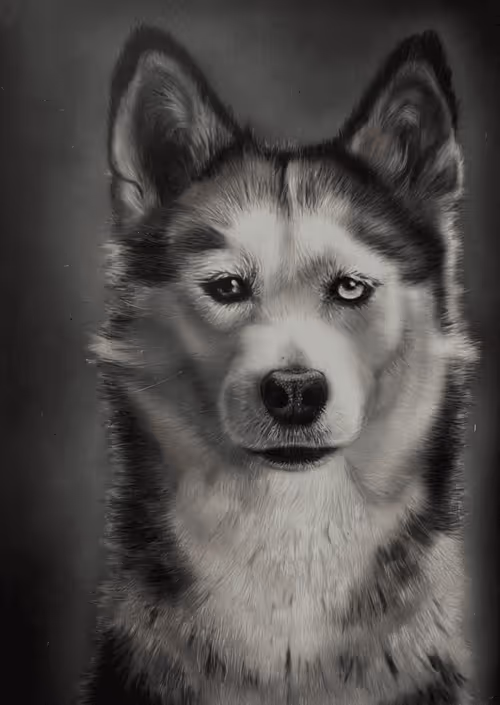 Item #70260284158676094803929041968900415945434597436045701449051511876386520301569 Media