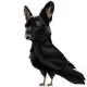 47055084319643417660550440966475414647413753718948486243302708123807720144897