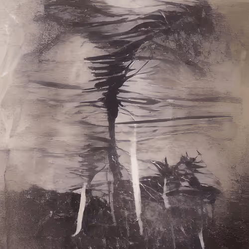 Item #101346503748299871090277111544031931249282072885608123680775461904793158549505 Media