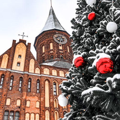 Untitled Collection #198946958