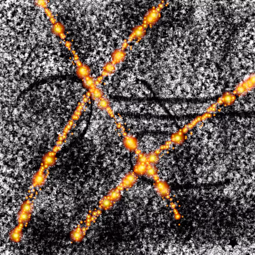 Item #34771696267190516183938811250423694623389452651351155433439240234164197261313 Media