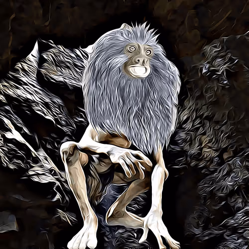 Untitled Collection #252703521