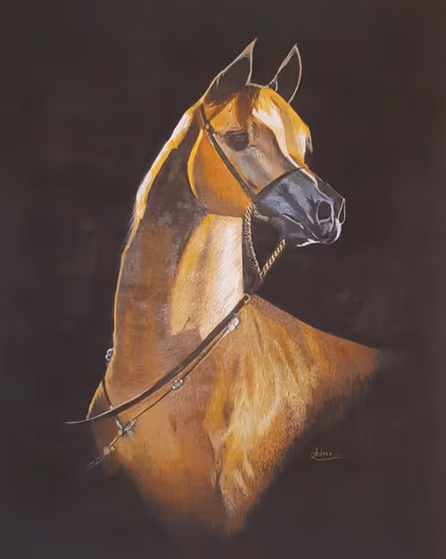 Item #55191955938705908771416272581630366117548271847036191148084328873191570145282 Media