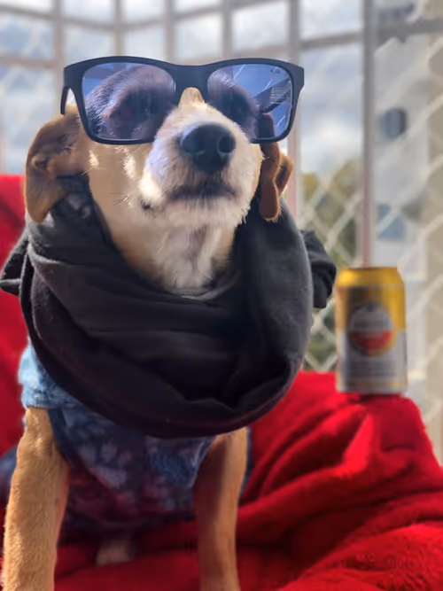 Item #94951261657889433440640425402549201589337916954067992377958453693972542914561 Media