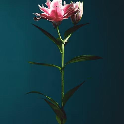 Flower #1