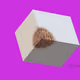 21628683832756071838232832598340071347666494187605646931680589792422871957505