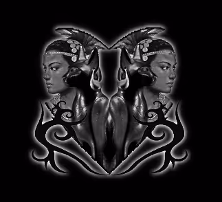 Untitled Collection #547652566